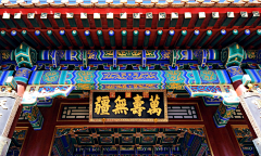 请叫我星星啊采集到FNibFPZ6的原创画板