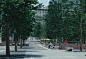 SSE-YS-016-B-_C_