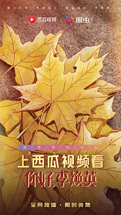 你好李焕英电影海报母亲节插画海报复古写实风格品牌联合电话衣服毛豆相框二人转衣柜书包系列海报