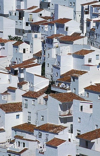 White painted houses...
