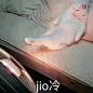 表情包图片花瓣搜燕欲,花瓣关注燕欲，@燕欲  (48)