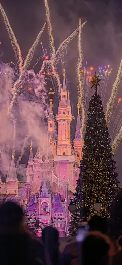 壁纸目录-202311171420-20231118135246878-01