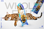 宠物食品包装设计猫条鱼干猫粮-古田路9号-品牌创意/版权保护平台