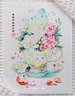 手绘｜花与茶｜茉莉花茶_6_李浅浅QIAN_来自小红书网页版