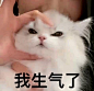 热门 - 热门微博 - 微博