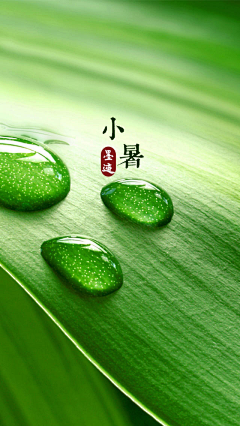 郭寅采集到24 节气