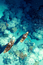 #風景 Boats - Shu的插画