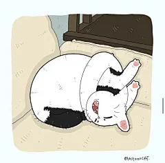 猫咪迷惑行为大赏！这40个猫咪的爆笑瞬间，每一张都是表情包哈哈哈哈 (23)
