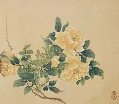 国画界的女状元，柳如是笔下的花鸟册页 - 小红书