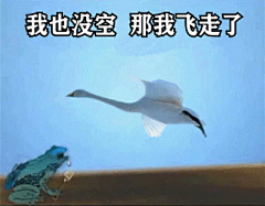 2021跨年夜有空吗表情包-癞蛤蟆天鹅我也没空那我飞走了表情包高清完整版_天尚网