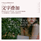微博 – 随时随地发现新鲜事