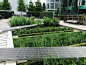 瑞士巴塞尔，药用植物园 / Thorbjörn Andersson @ Sweco architects – mooool木藕设计网