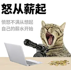 我的薪资表情包
