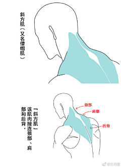 夏日曼陀罗采集到人体动态