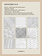 零基础学插画｜入门级开笔排线练习篇