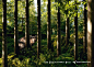 Landscape and Animal Park Goldau: Bear