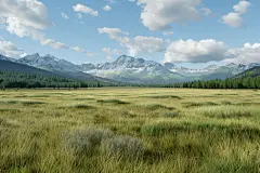 秋日的草原精美壁纸