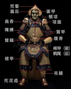 桃子兮采集到胄