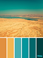 Color Inspiration ︰ Teal and Yellow Color Scheme, color palette(C7A2F)