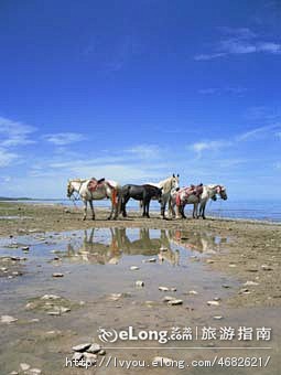 线路:美丽的青海——玩在青海（2 青海湖...