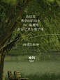 在鼻子里闻到一整个盛夏_2_闻物NatureRelic_来自小红书网页版