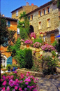 平台花园，米莫萨，法国
 Terrace Garden, Bormes-les-Mimosas, France旅游 美景 小镇 欧美 摄影 欧美 地中海 旅行 人文 朋友圈配图 美图壁纸 壁纸 微距 唯美 室外 街景 建筑 欧式 大图 全屏 海报背景 咖啡店 酒馆 巴黎 法国 欧洲 意大利 英国 