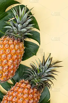 美丽的菠萝在热带棕榈怪兽叶子孤立在明亮柔和的橙色黄色背景。