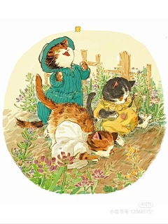 莴笋采集到原画