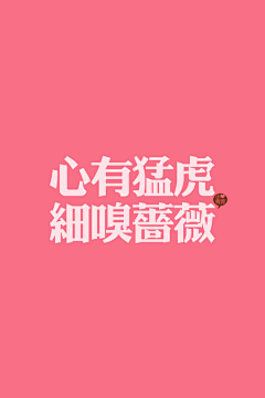 墨紫熏采集到唯美文字控