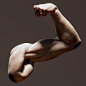 Male Arm sculpts