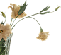 49a0e922e0b9c113a91d43e2faca8fc404fe480f256c9-hD592u