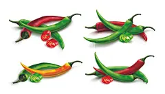 卡通辣椒  - 源文件下载【酷图网】黄色辣椒,黄色尖椒,卡通辣椒,蔬菜辣椒,红色尖椒,绿色尖椒,辣椒,红辣椒,辣椒插画,矢量辣椒,逼真红辣椒,红辣椒插画,手绘辣椒,手绘红辣椒,卡通红辣椒,辣子,手绘辣子,尖椒,红尖椒,手绘红尖椒,小米椒,魔鬼辣,红色辣椒,火红辣椒,矢量,eps,ai