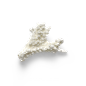 海星海螺贝壳珊瑚海马等 海洋生物主题 高清素材 124.png