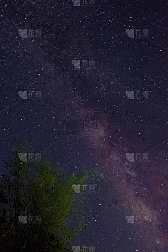 一幅银河画穿过一棵竹树