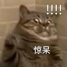 我不叫Cheers采集到表情包合集