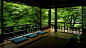 General 1920x1080 interior trees minimalism Asian architecture interior design