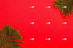 背景 免费壁纸 自由背景 美丽的壁纸 圣诞贺卡 冷杉枝 全高清壁纸