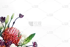 白色背景,贺卡,留白,边框,水平画幅,情人节,夏天,生日,特写,明亮