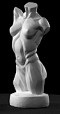 Female Planes Torso Art Reference Cast by Philippe Faraut