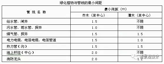 植物于管线间距