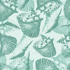 无缝模式有不同的壳