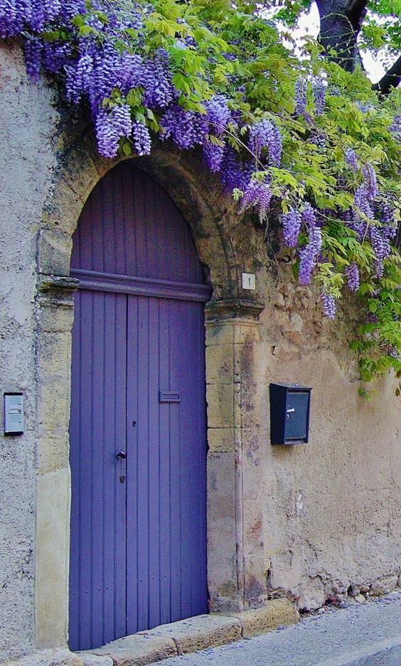Colors of Provence: 