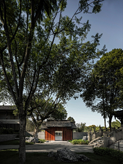请你喝坛天子笑采集到文旅