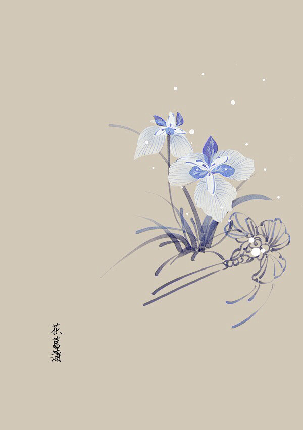 水彩 植物花卉 插画 artistic青...