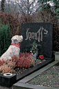 Logo R.I.P.