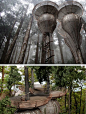 Roost Treehouse. It is designed to copy the natural curves found in nature. The purpose was to build a treehouse that could blend in with the surrounding forest. The treehouse is built using sustainable materials. The design by Antony Gibbon looks like it