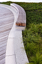 Artisan Way - Assembly Row — Recover Green Roofs : Commercial   Avigilon Offices Roof Deck