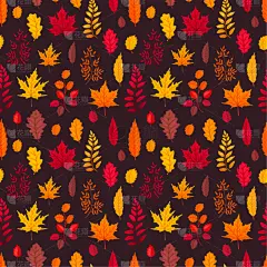 叶子,四方连续纹样,九月,华丽的,十月,风,壁纸,植物群,模板,落下