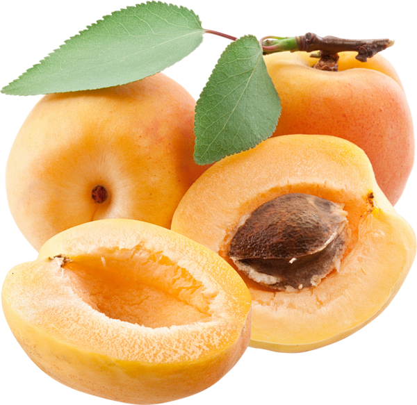 apricotspng