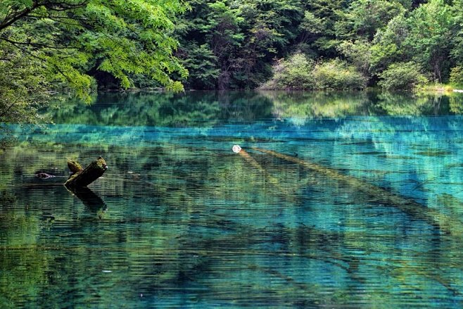 梦幻五花海，其之三。,木头